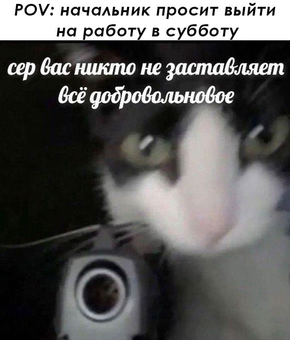 ➡️ отправь в телеге мем коллеге | Сетка — социальная сеть от hh.ru