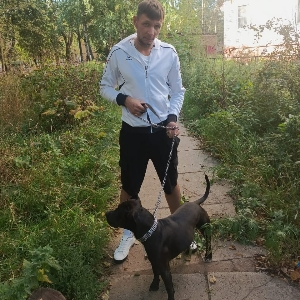 Антон Головков