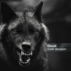 Саша Строкин