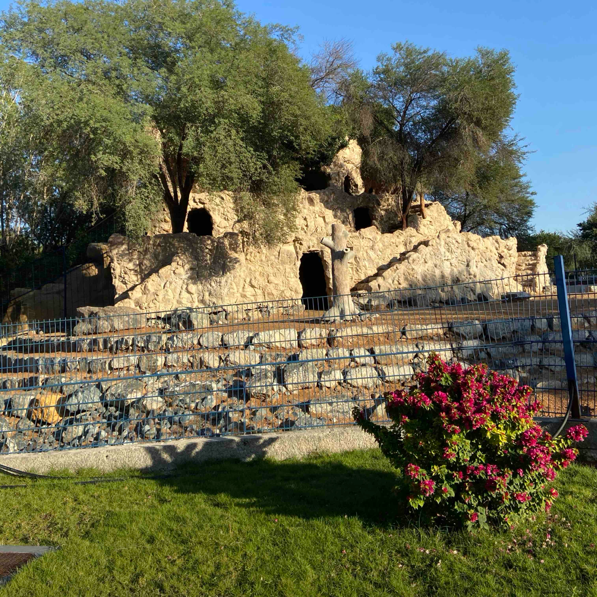 Хизри Шапиев | Сетка — социальная сеть от hh.ru