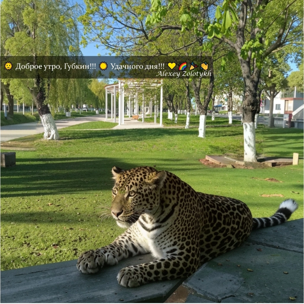 🌞 Доброе утро, Губкин!!! ☀️ Удачного дня!!! 💛🌈🎉👋 | Сетка — социальная сеть от hh.ru