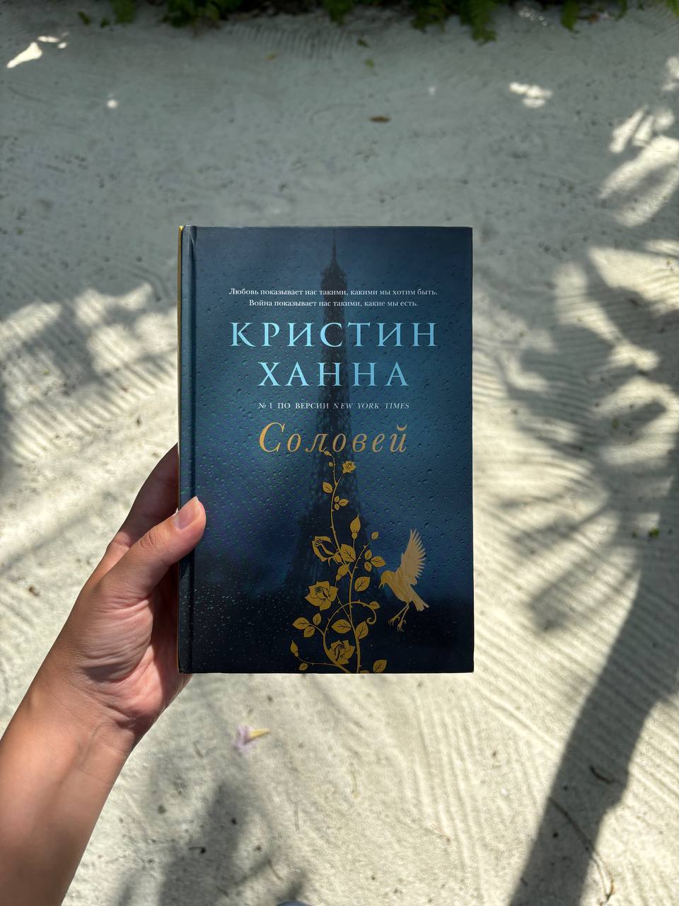 Мы знаем, как важно забывать и порой поддаваться искушению начать все заново
Книга, которая не совсем подходит для отпуска, а лучше подойдет для осенне-зимнего сезона: «Соловей» Кристин Ханна | Сетка — социальная сеть от hh.ru