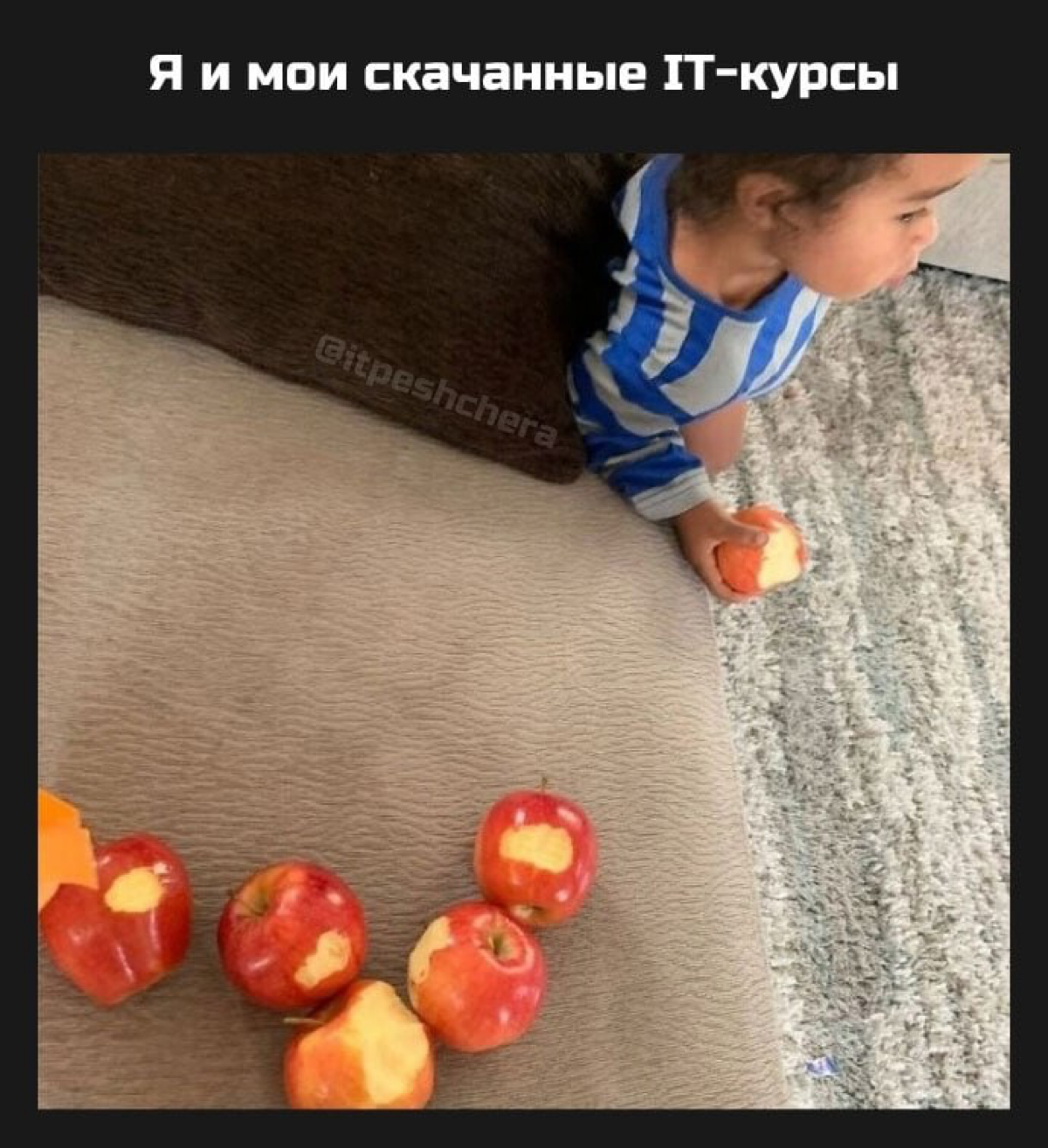 Сетка — социальная сеть от hh.ru