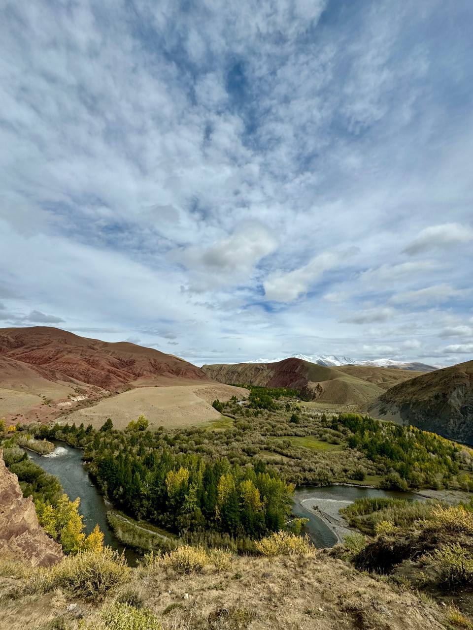 👋 Алтайские горы другие. Это вам не КавказПолное ощущение того, что вернулась из другого мира, где время течёт медленнее, и мозг отключается | Сетка — социальная сеть от hh.ru
