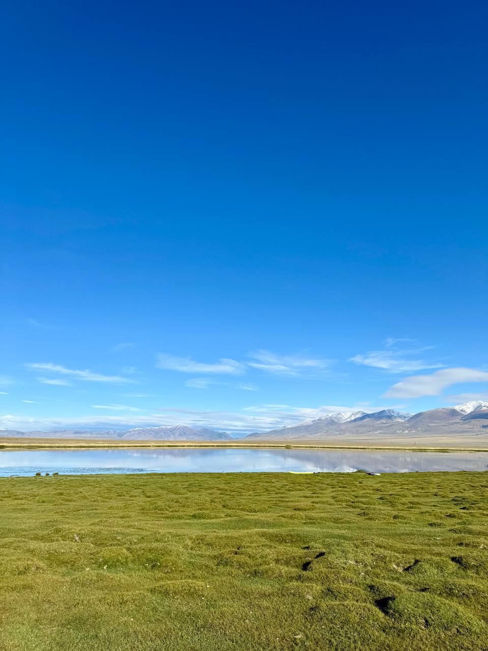 👋 Алтайские горы другие. Это вам не КавказПолное ощущение того, что вернулась из другого мира, где время течёт медленнее, и мозг отключается | Сетка — социальная сеть от hh.ru
