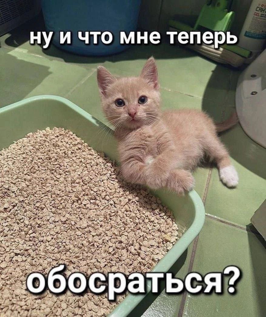 Сетка — социальная сеть от hh.ru