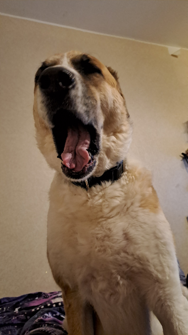 Это фото отлично описывает мои ощущения от первой недели ординатуры😃
Шучу, конечно. Это скорее ощущения моих коллег-ординаторов, которые пришли учиться сразу после получения диплома | Сетка — социальная сеть от hh.ru