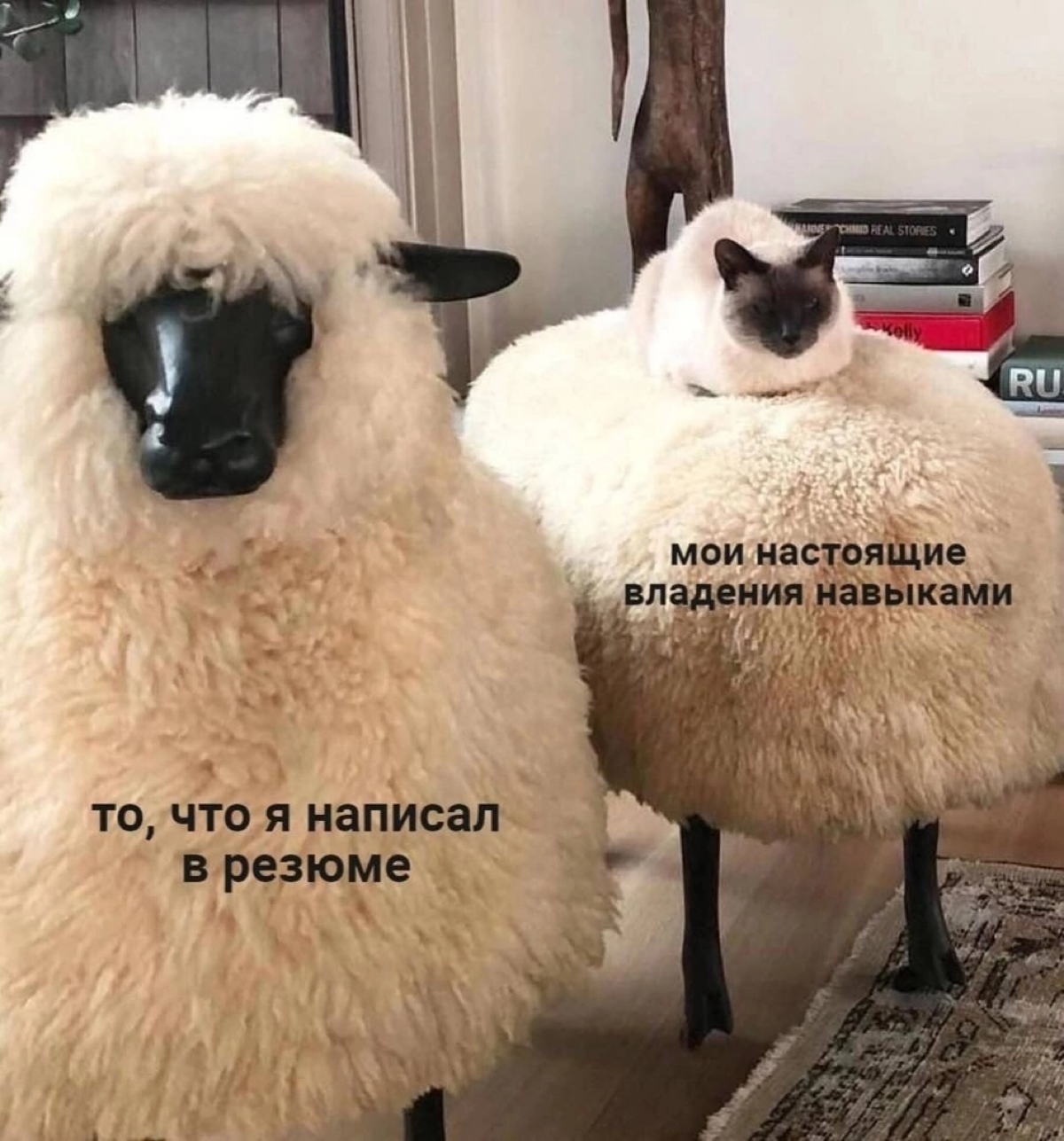 «Жизненный» мем или история о том, как НЕ надо делать | Сетка — социальная сеть от hh.ru