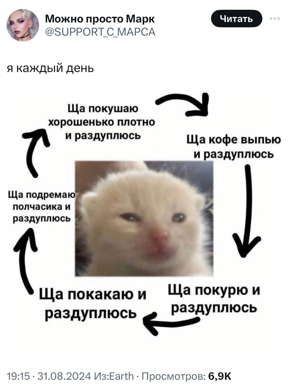 Мы: ну в воскресенье точно отдохну!
Как проходит воскресенье:
➡️ отправь в телеге мем коллеге | Сетка — социальная сеть от hh.ru