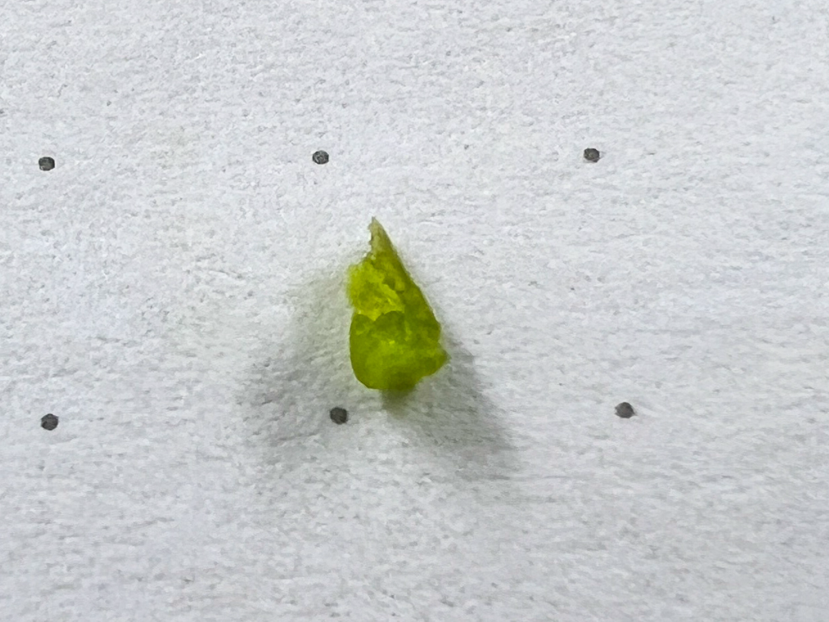 Срезал куст японского васаби | Сетка — социальная сеть от hh.ru