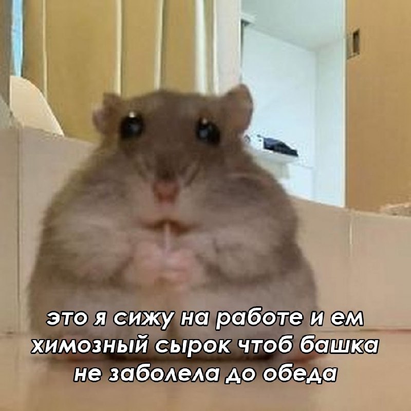 ➡️ отправь в телеге мем коллеге | Сетка — социальная сеть от hh.ru
