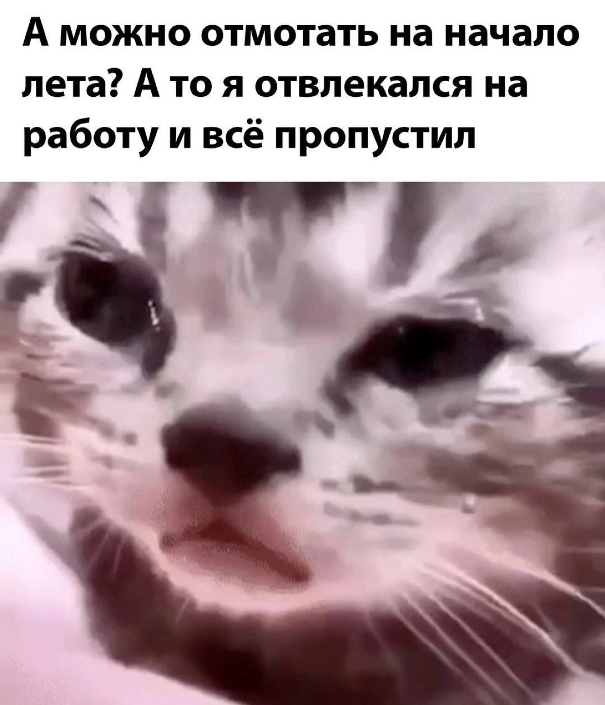 Да ладно! Сколько еще летов на нашем пути будет просрано, НАТАША!
#мемдня | Сетка — социальная сеть от hh.ru