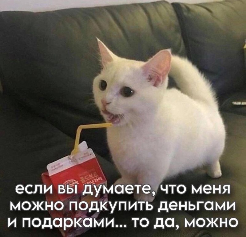 Подборка мемов в этот осенний вечер
С Вас лайк, если хотя бы один показался смешным | Сетка — социальная сеть от hh.ru