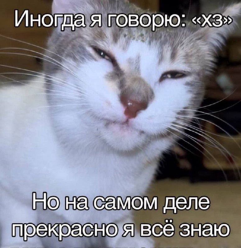 Подборка мемов в этот осенний вечер
С Вас лайк, если хотя бы один показался смешным | Сетка — социальная сеть от hh.ru