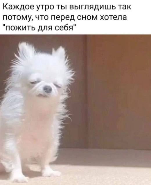 Подборка мемов в этот осенний вечер
С Вас лайк, если хотя бы один показался смешным | Сетка — социальная сеть от hh.ru
