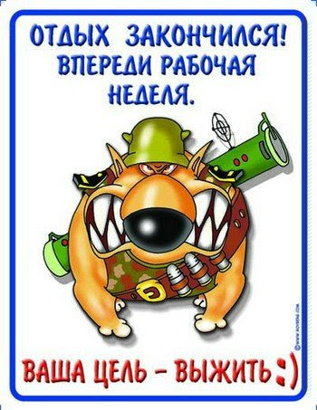 Вот и кончились трудовые выходные, завтра опять начнутся рабочие | Сетка — социальная сеть от hh.ru