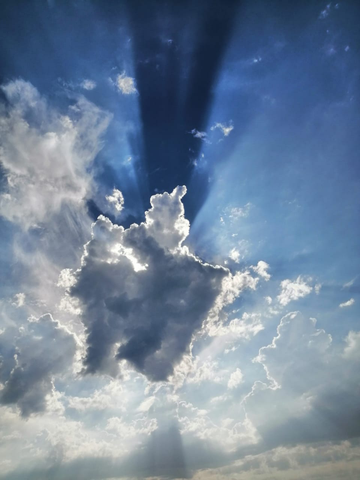 #ДеньАнгела
#правонапризнание
#правонатрудовуюбезопасность
День Ангела! 
Поздравляю всех #Наталья и #Мария с прошедшим днём Ангела!! 8 сентября! 
Ангел - это и хранитель, и защитник, и ... | Сетка — социальная сеть от hh.ru