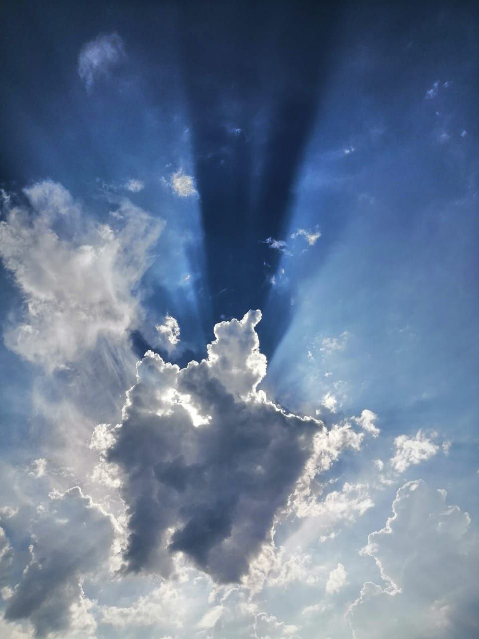 Сетка — социальная сеть от hh.ru