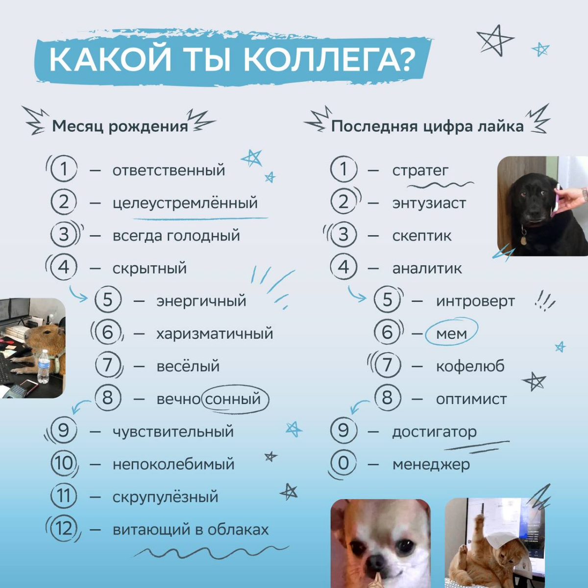 Осторожно, этот пост знает о тебе больше, чем ты думаешь…
Ставь лайк и пиши в комментариях, какой ты коллега! | Сетка — социальная сеть от hh.ru