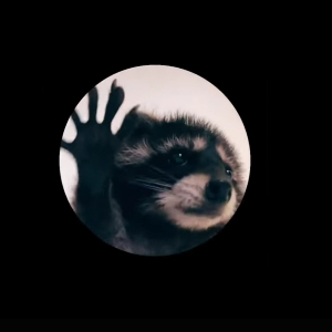 Варвара Трифонова