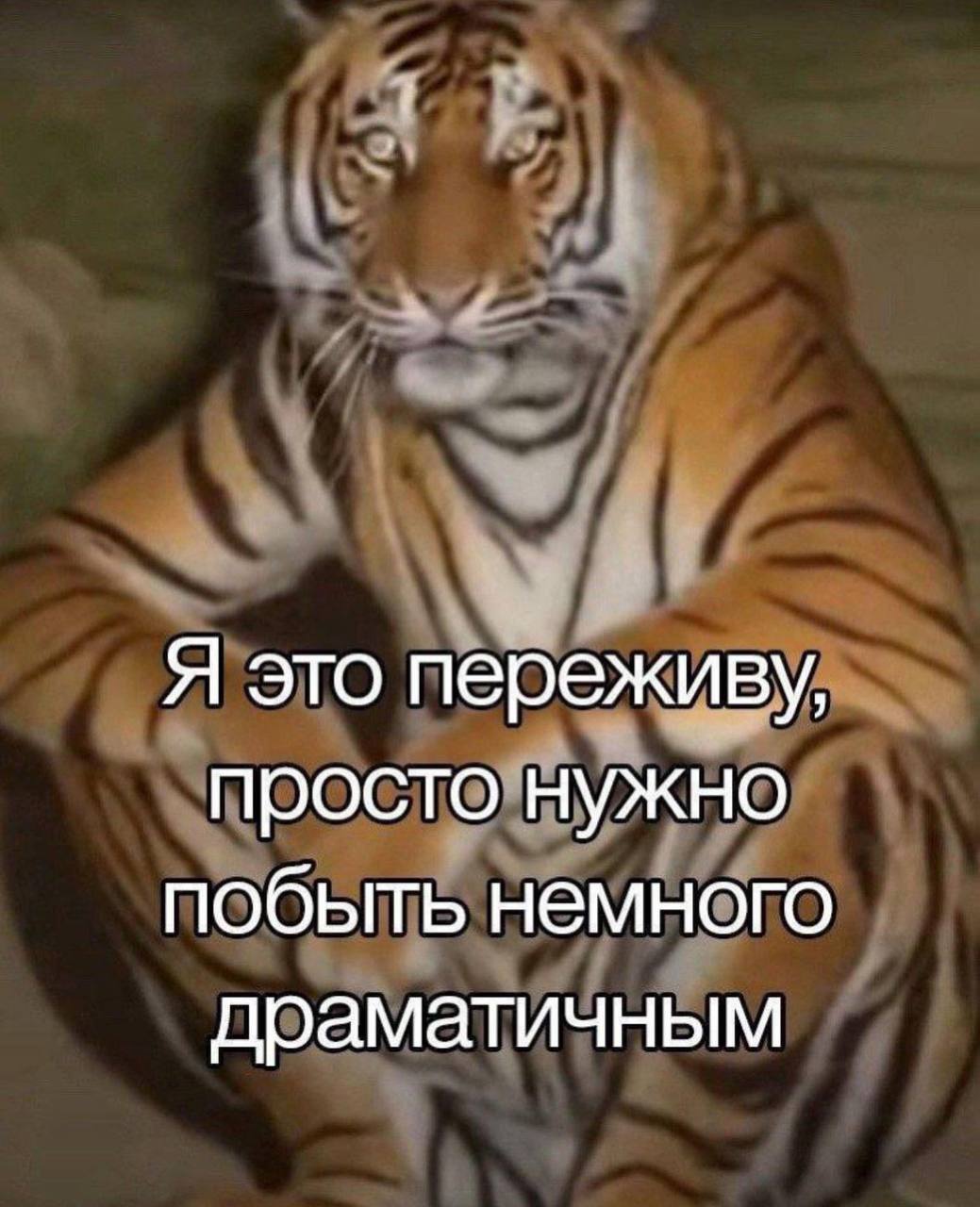 Мое отношение к правкам
Актуальной тема для меня была тогда, когда я активно брала заказы на копирайтинг.
Почему-то у многих заведено, что писать текстики - это ж много ума не надо | Сетка — социальная сеть от hh.ru