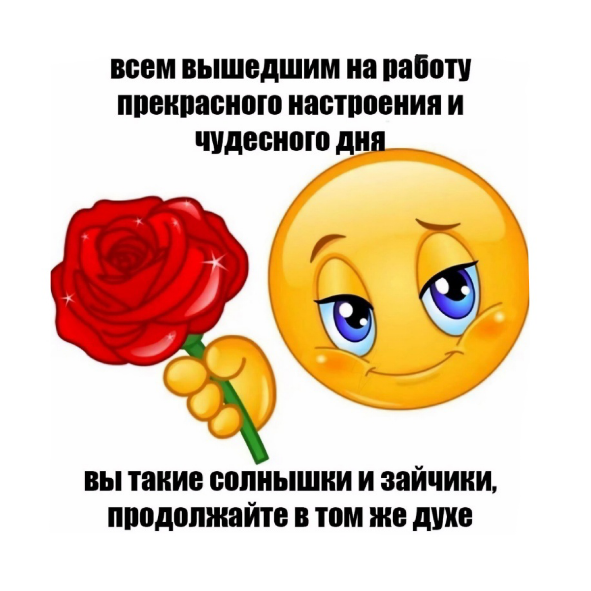 Сетка — социальная сеть от hh.ru