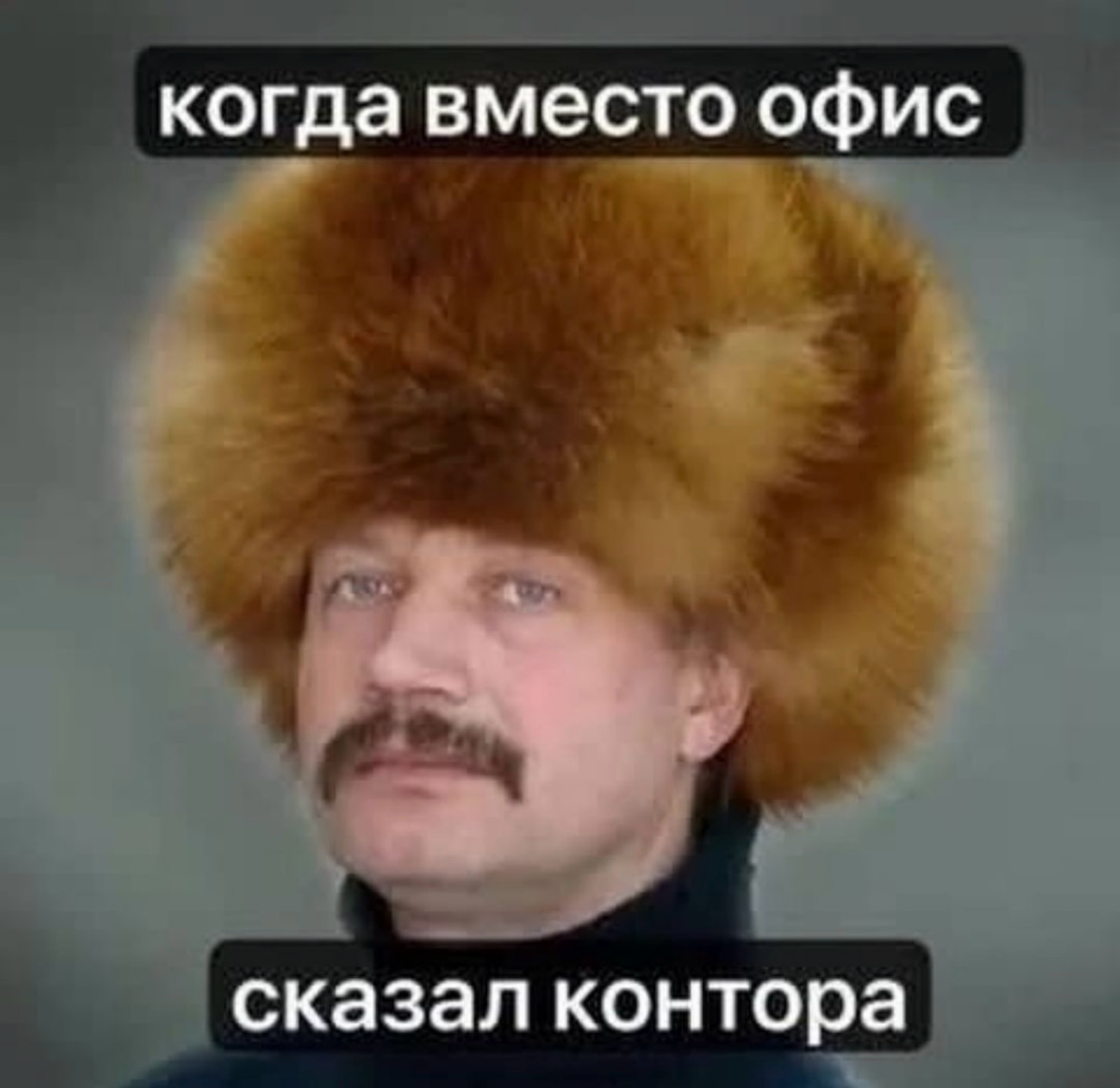Мой нач | Сетка — социальная сеть от hh.ru