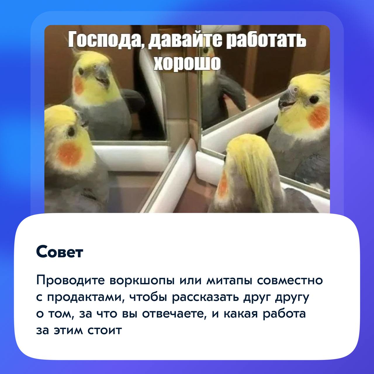 Всем привет!
Меня зовут Лера. Мне, как и почти любому другому дизайнеру, в работе чаще всего приходится взаимодействовать с менеджерами продукта | Сетка — социальная сеть от hh.ru