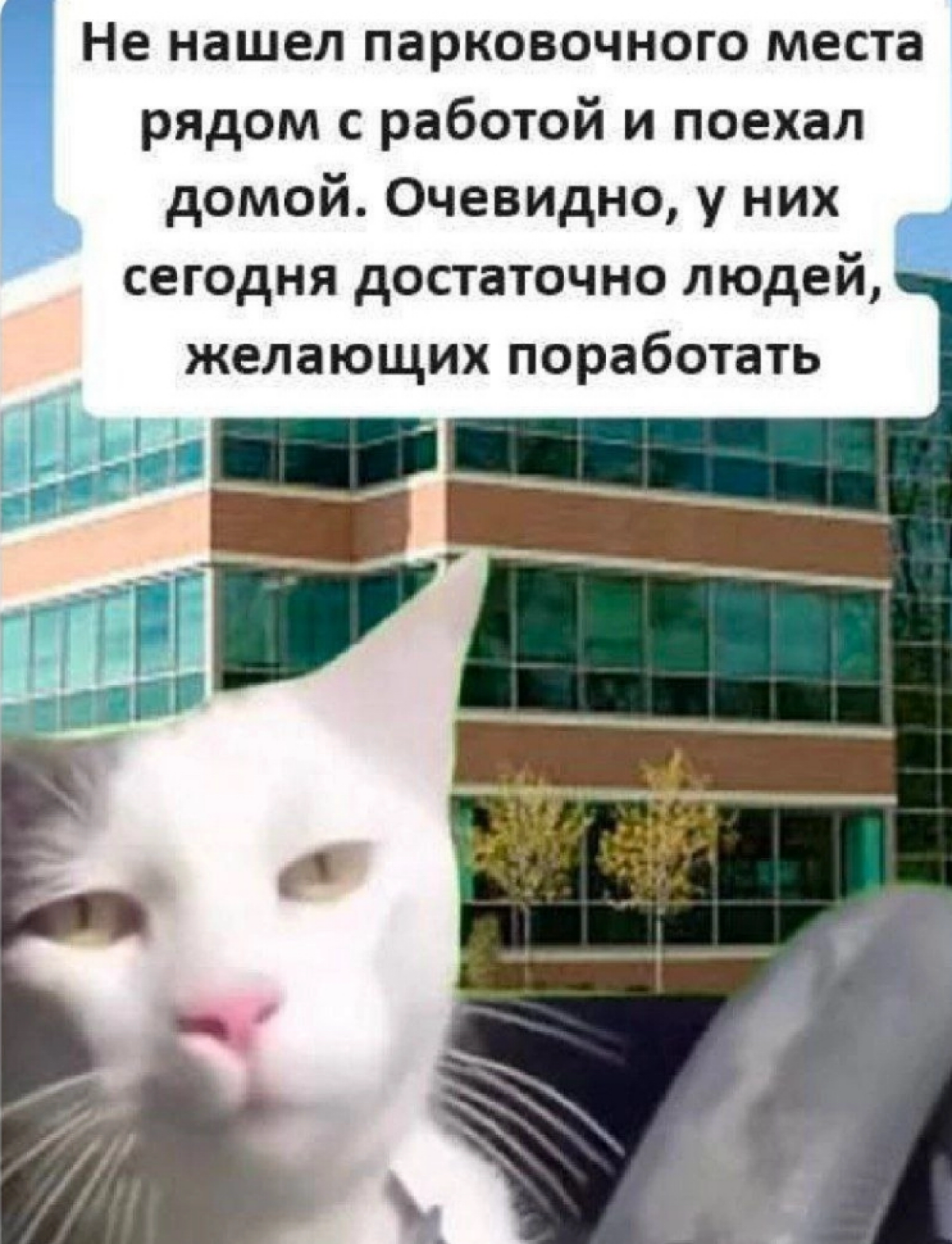 Необходимо или достаточно, коллеги? | Сетка — социальная сеть от hh.ru
