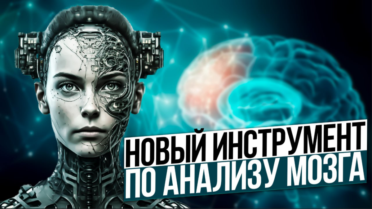 Нейросеть-нейробиолог | Сетка — социальная сеть от hh.ru