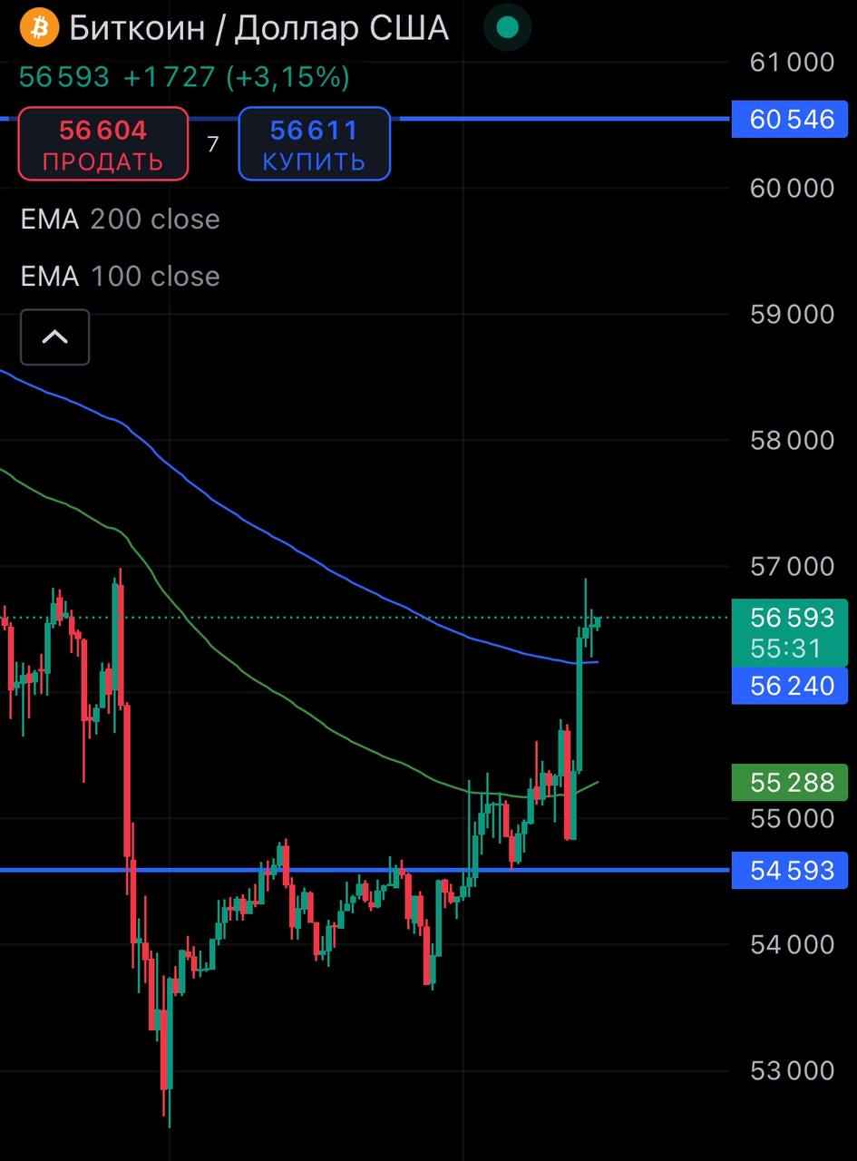 #BTC восстанавливается и от лоев дает уже +3к$. Хорошая волатильность.
Тем временем в#TONнарисовали трусы и идем на восстановление. На просадке закупался, держу до 10$ за монетку!
@birzhbazar | Сетка — социальная сеть от hh.ru