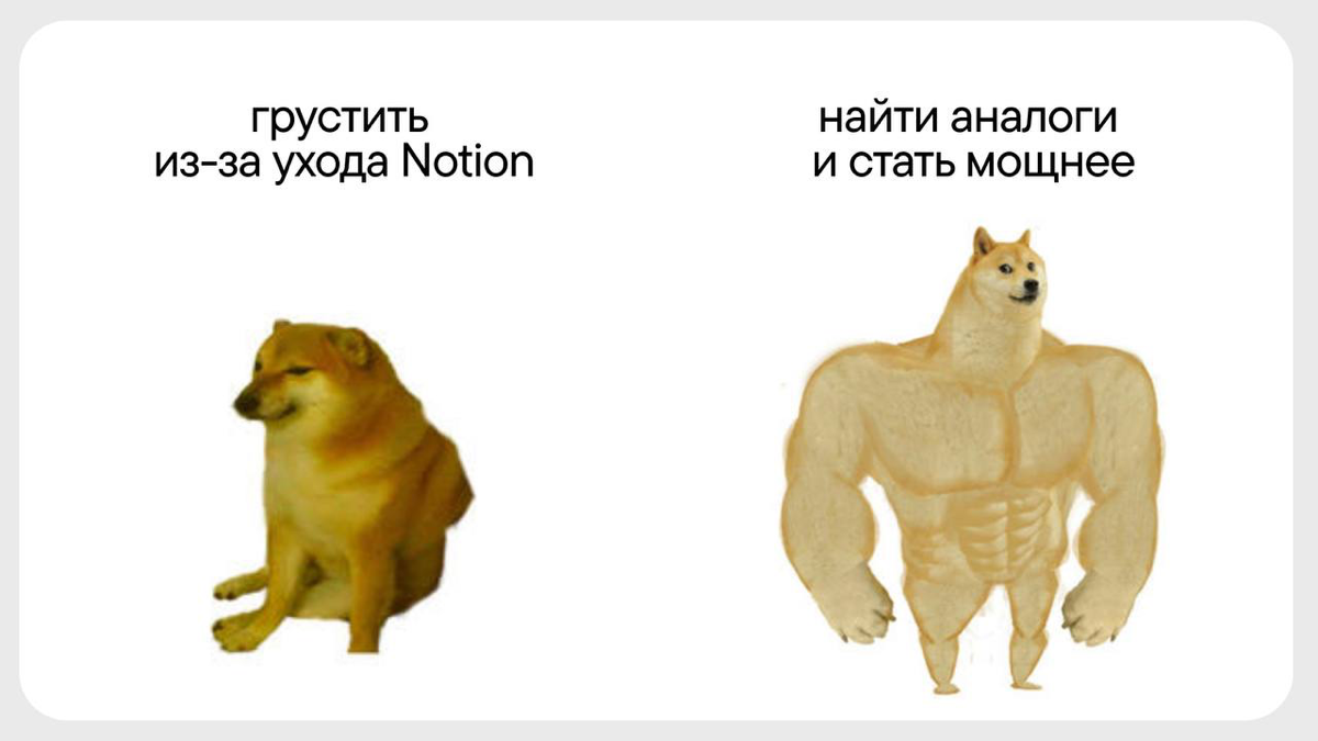 Телеграм лагает, Notion уходит... Тяжелые времена делают сильных котят. Не тревожимся и ищем альтернативы. Сделали подборку сервисов, куда можно перенести данные из Notion | Сетка — социальная сеть от hh.ru
