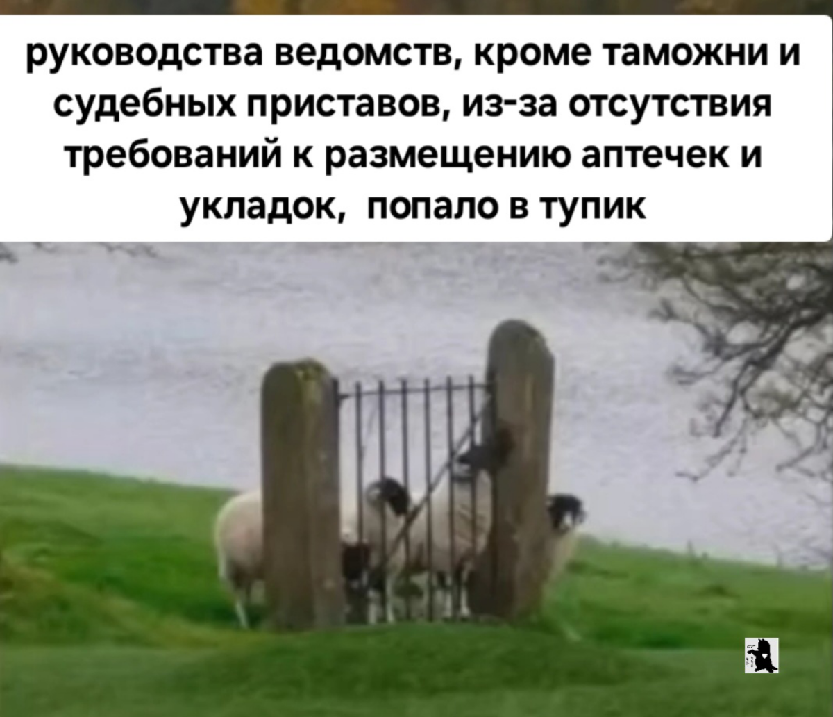 Сетка — социальная сеть от hh.ru