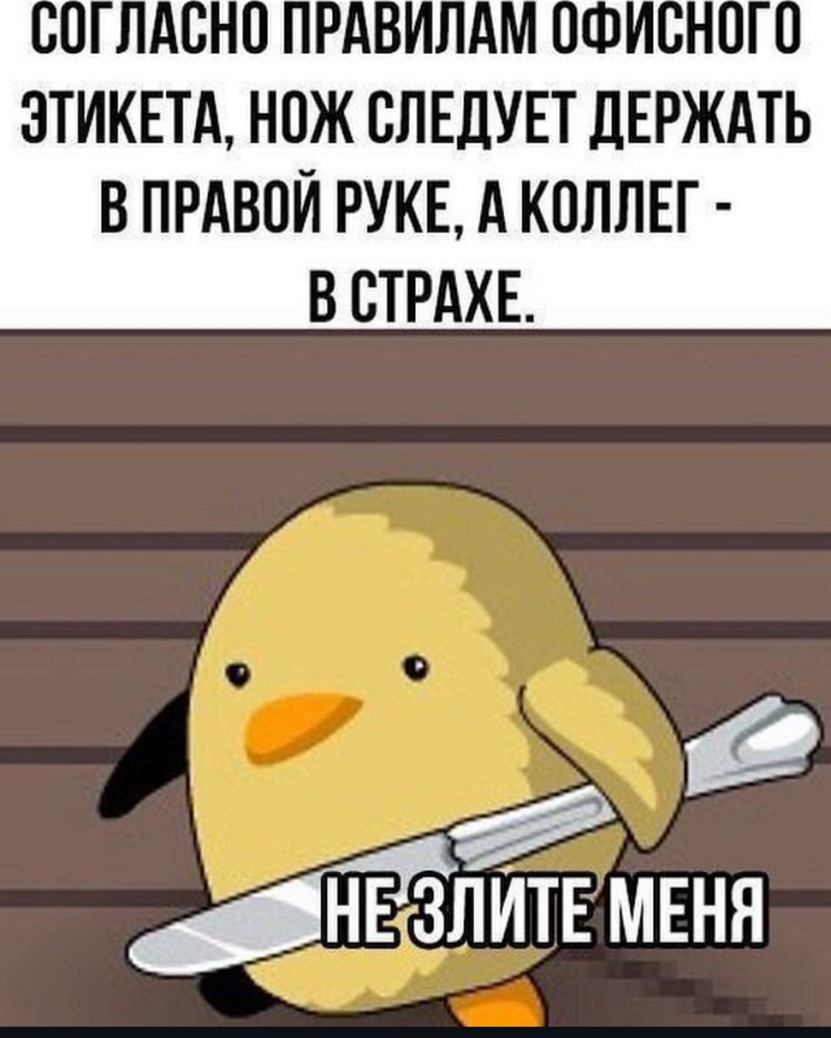 Да, я смеюсь с баянов. И что вы мне сделаете? | Сетка — социальная сеть от hh.ru