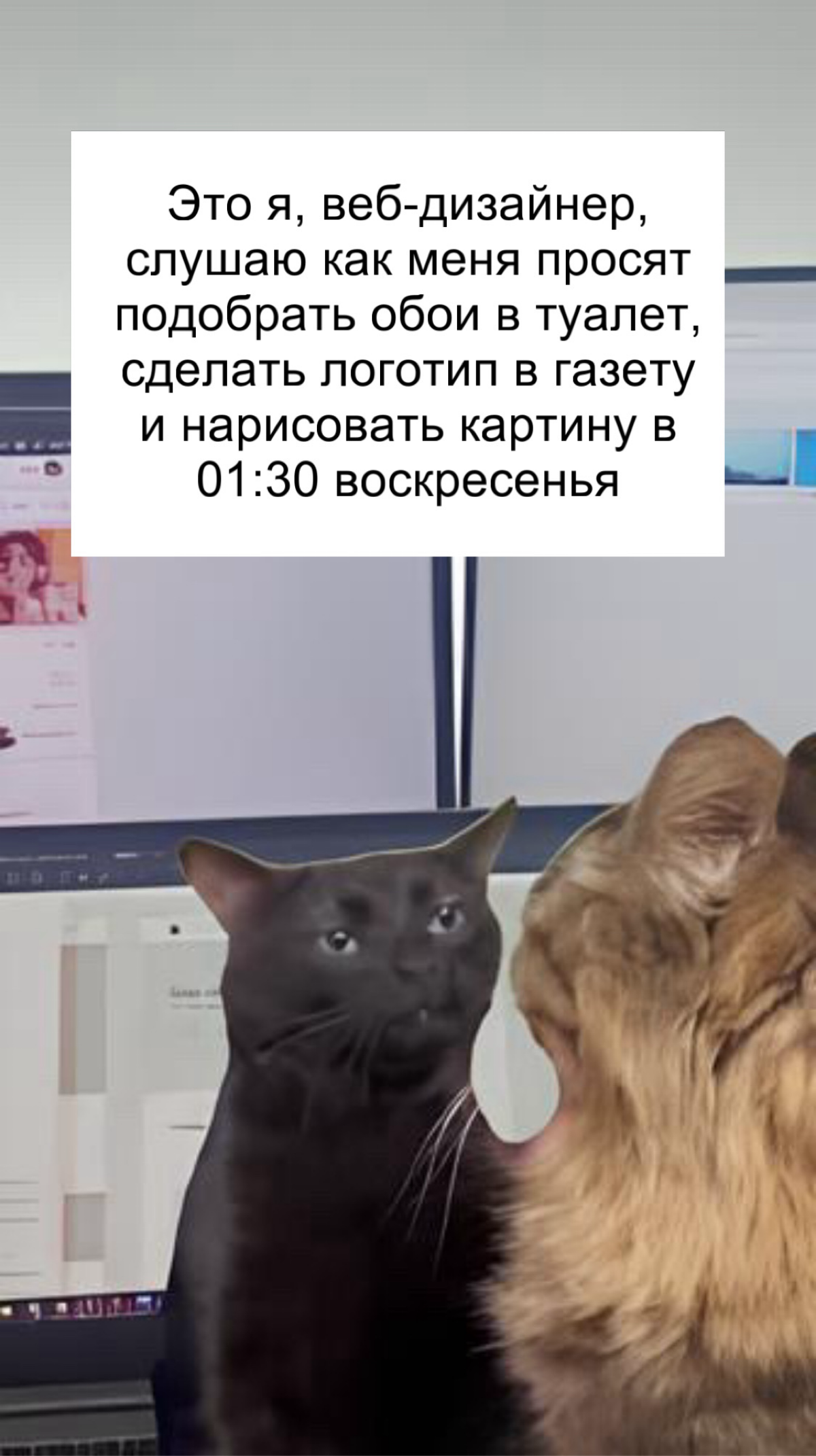 Итак, проработав пол года в небольшом, но вполне успешном маркетинговом агентстве, я выделил для себя ряд нюансов, которые очень важны для молодого и неопытного джуна, который только только вышел из л... | Сетка — социальная сеть от hh.ru