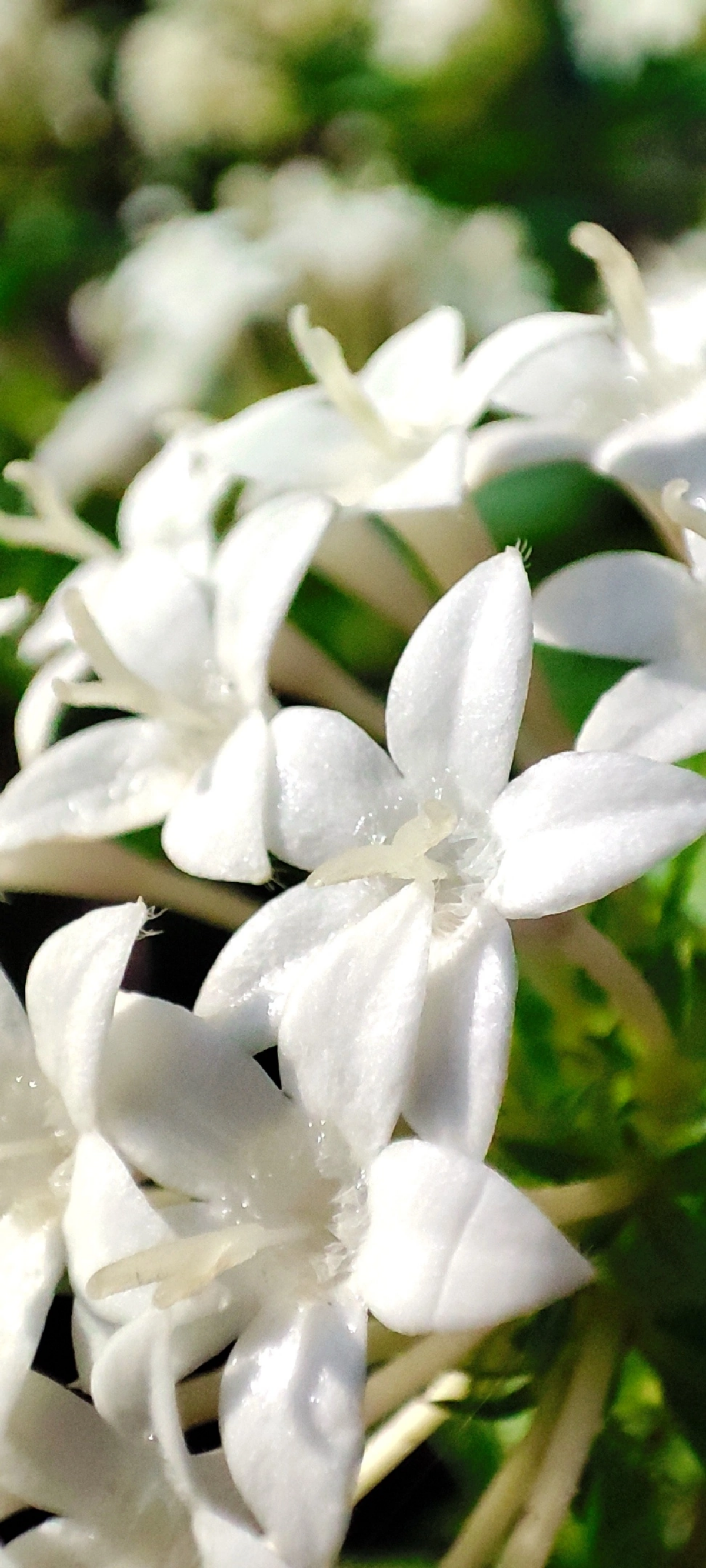 Радуга осенних цветов в парке им. М. Горького 🌼🌺🌻
#таганрог #осень #паркГорького 
#красота #цветы #попути #gavr188 | Сетка — социальная сеть от hh.ru