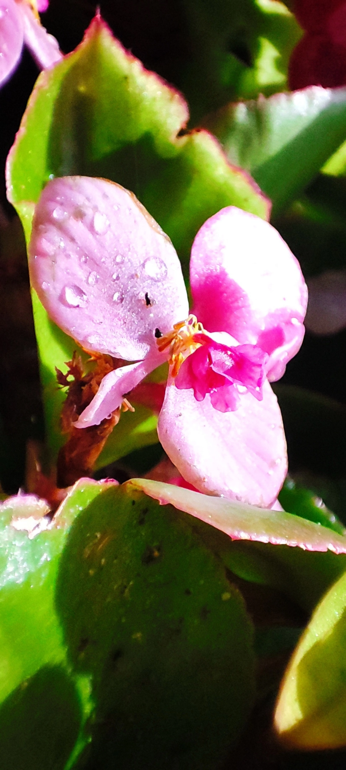 Радуга осенних цветов в парке им. М. Горького 🌼🌺🌻
#таганрог #осень #паркГорького 
#красота #цветы #попути #gavr188 | Сетка — социальная сеть от hh.ru