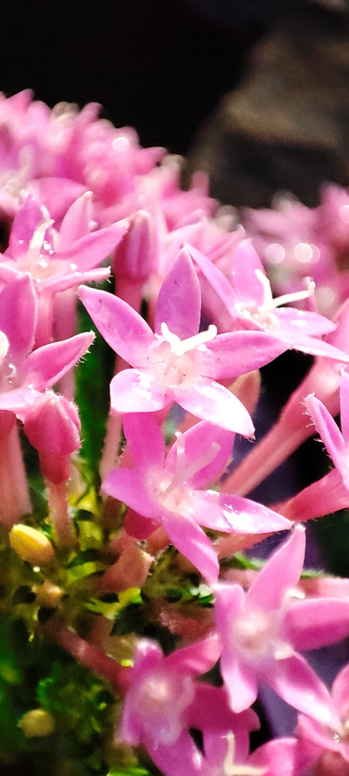 Радуга осенних цветов в парке им. М. Горького 🌼🌺🌻
#таганрог #осень #паркГорького 
#красота #цветы #попути #gavr188 | Сетка — социальная сеть от hh.ru