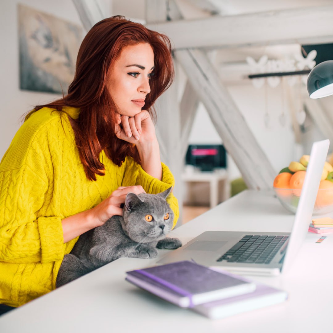 🌟Полезные телеграм-каналы для HR в IT 
Для многих IT сфера — тёмный, дремучий лес, через который пробирается с трудом даже опытный HR | Сетка — социальная сеть от hh.ru