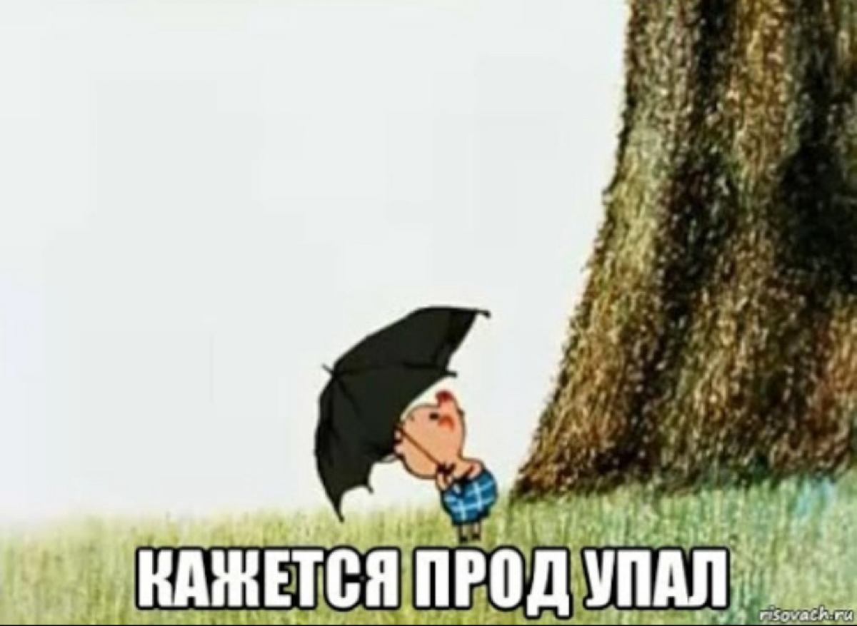 Несите ружьё | Сетка — социальная сеть от hh.ru