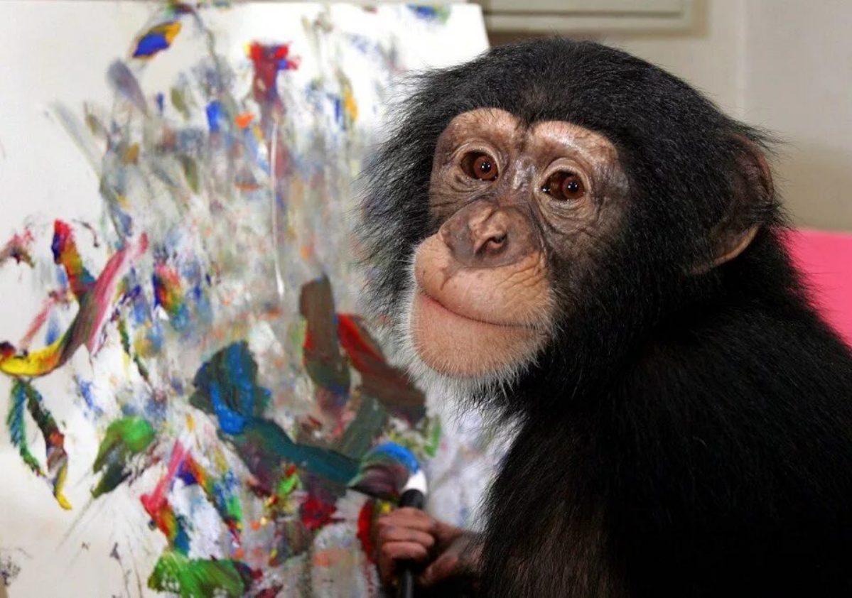 Ревью датавиза: бро, или не бро? | Сетка — социальная сеть от hh.ru