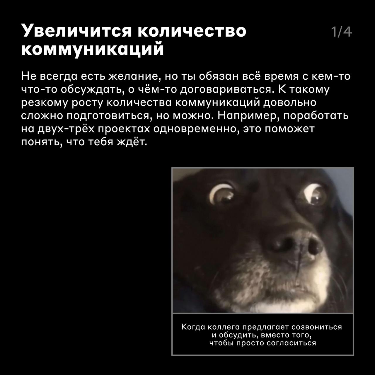 Куда расти системному аналитику, если он уже синьор? 🤓
Можно сказать, что системный аналитик — универсальный боец, потому что его навыки частично пересекаются с навыками лида, архитектора и продакта | Сетка — социальная сеть от hh.ru