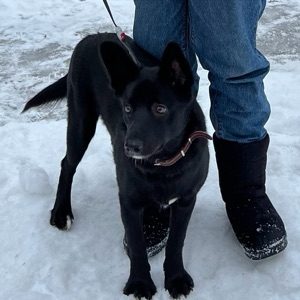 Елизавета Киселева | Сетка — социальная сеть от hh.ru