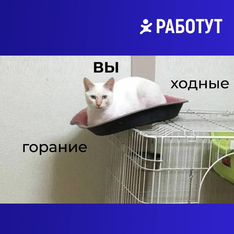 Пытаемся держать равновесие и ждём выходных💪🏻 | Сетка — социальная сеть от hh.ru