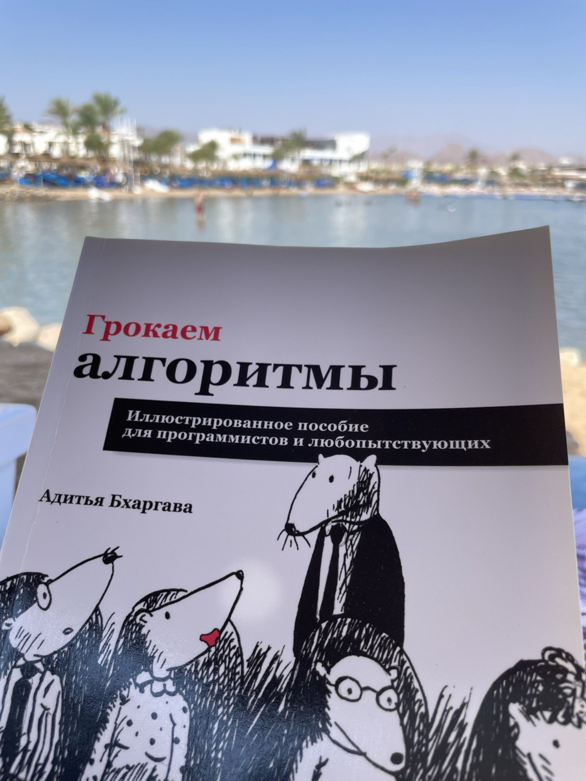 Грокаю в отпуске | Сетка — социальная сеть от hh.ru