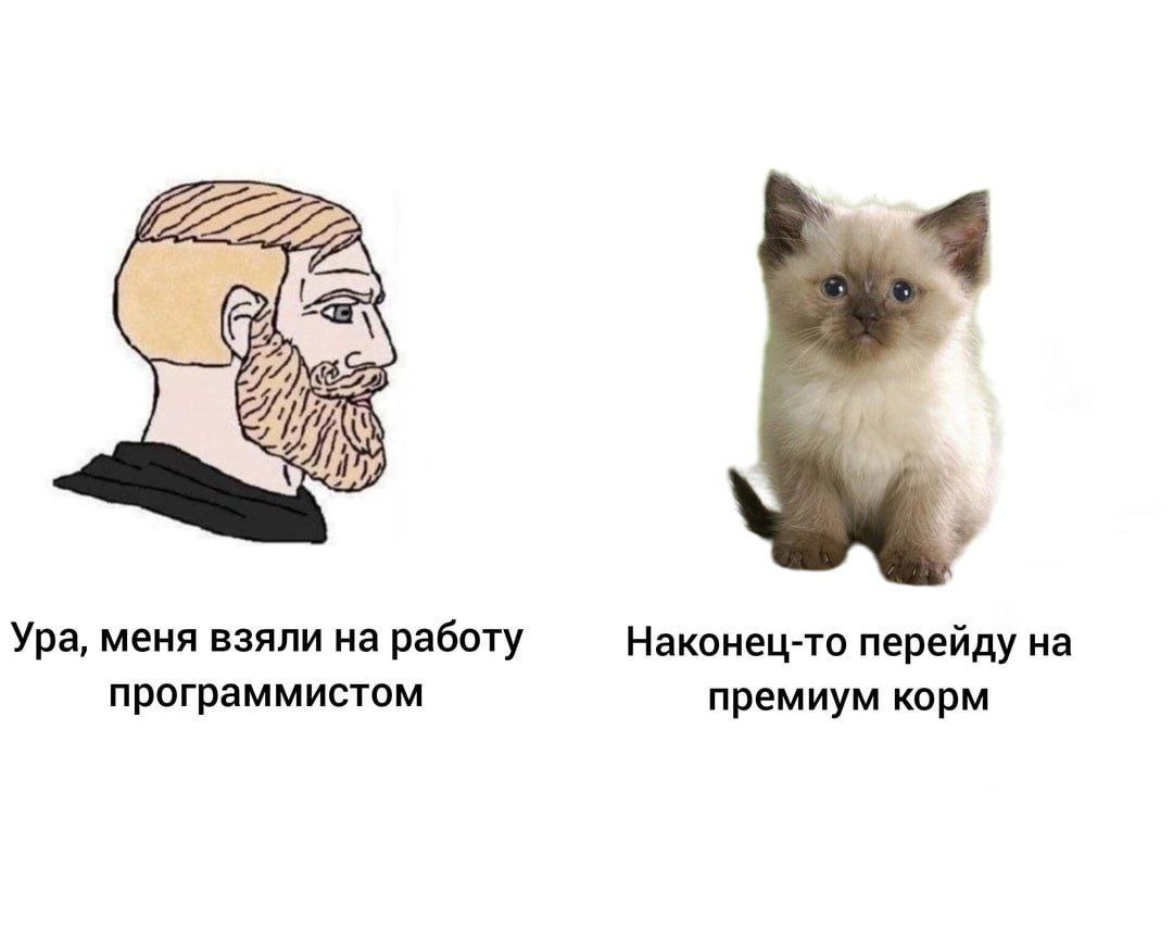 Настоящая причина ухода в ИТ.
➡️ отправь в телеге мем коллеге | Сетка — социальная сеть от hh.ru