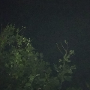 Алик Аликов