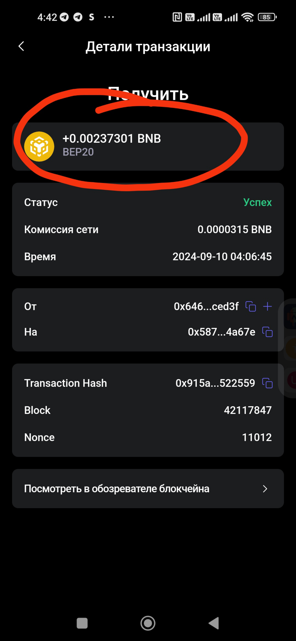 🧚‍♀️Вывод №6 в USD 1.22🧚‍♀️.                          Максимально возможный доход - 300% с одного депозита.    Новый микро арбитражный Бот по торговле. Вход 10 дол | Сетка — социальная сеть от hh.ru