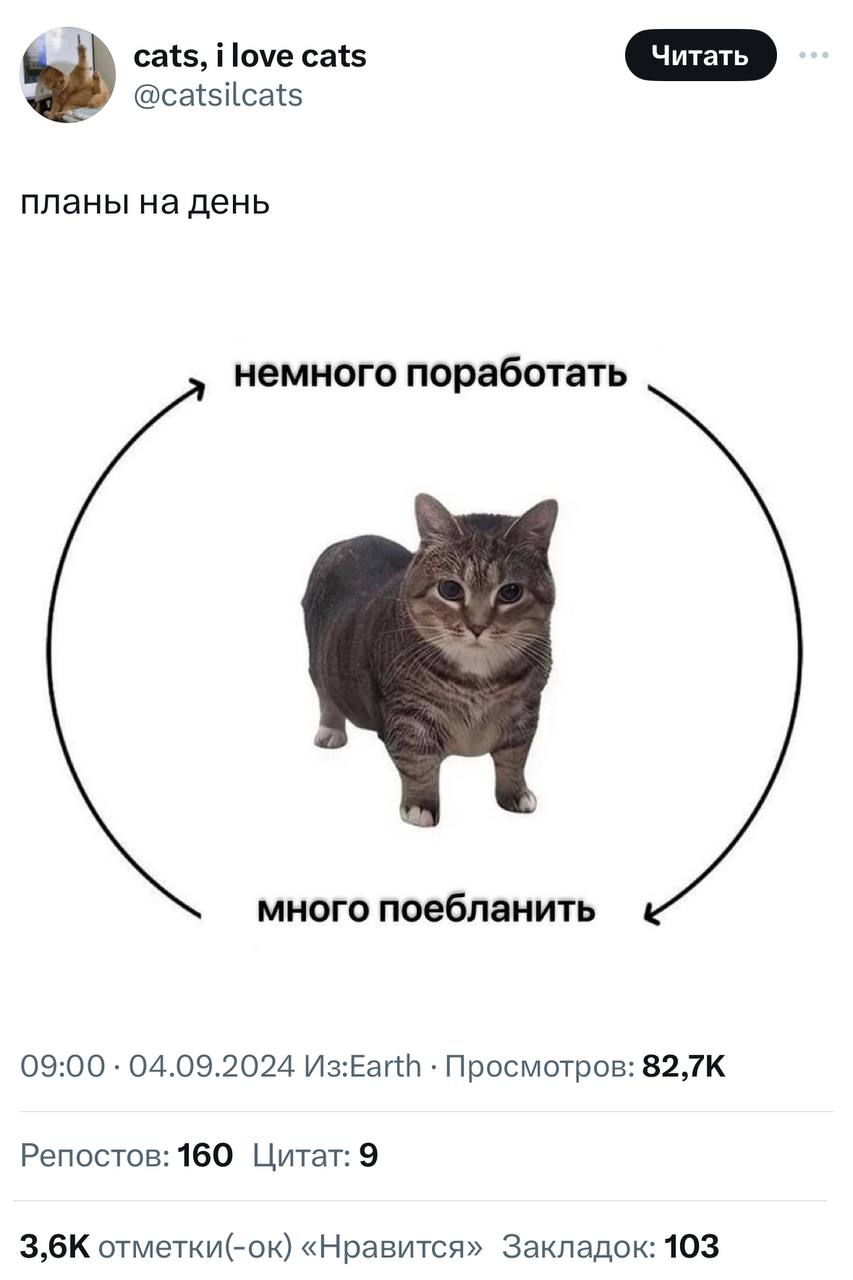 Не забывайте проводить рабочие будни с пользой!
➡️ отправь в телеге мем коллеге | Сетка — социальная сеть от hh.ru