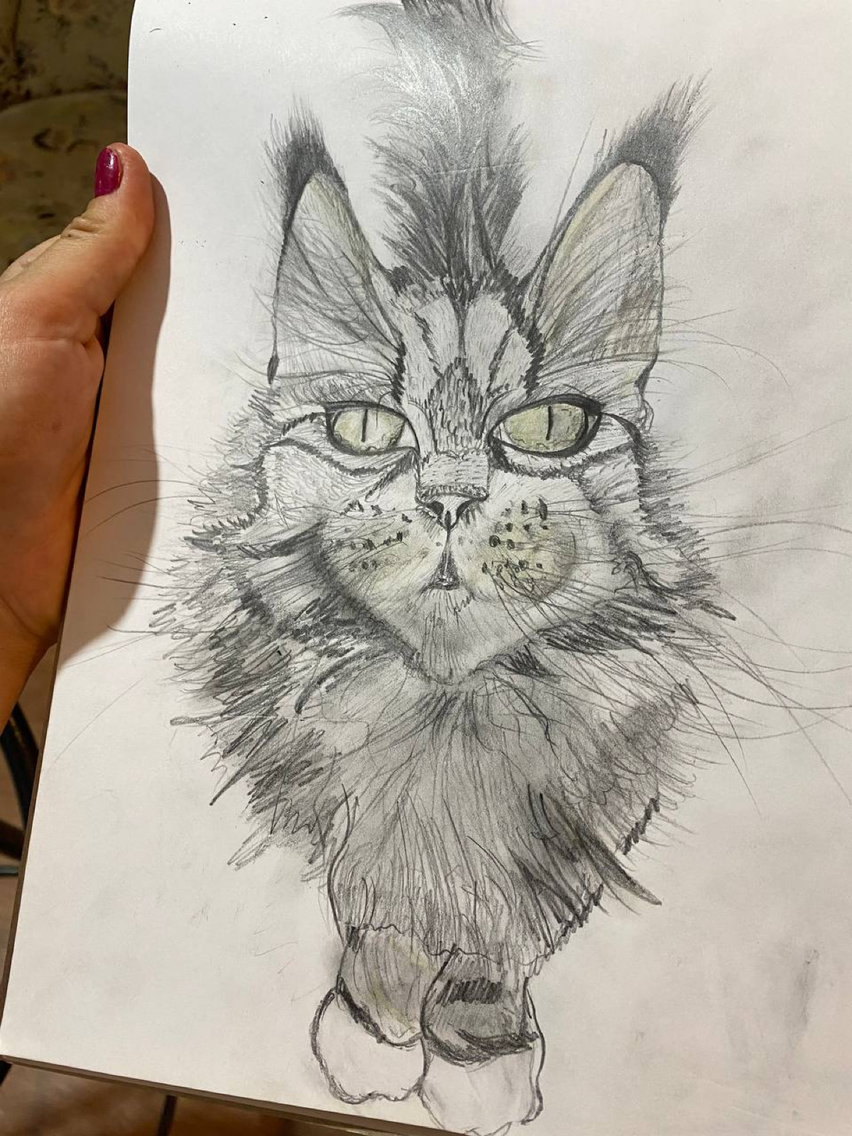 Картина А4. Уголь. «Кошка» Сиба | Сетка — социальная сеть от hh.ru